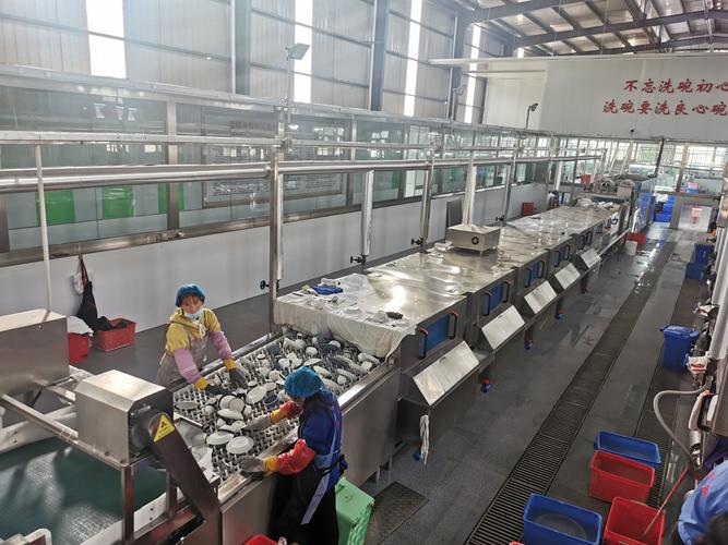 日洗1万套的洗碗机设备怎么选？排风设备与核心选型指南